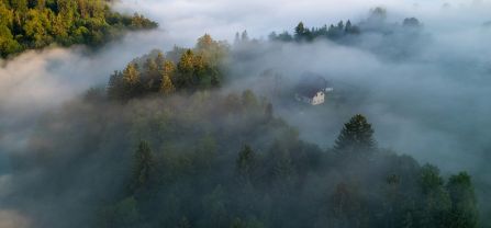 EUDR: Die EU-Verordnung für entwaldungsfreie Produkte – neue Entwicklungen im Koalitionsvertrag Bergige Landschaft mit Wald, einigen Häusern und dichtem Nebel